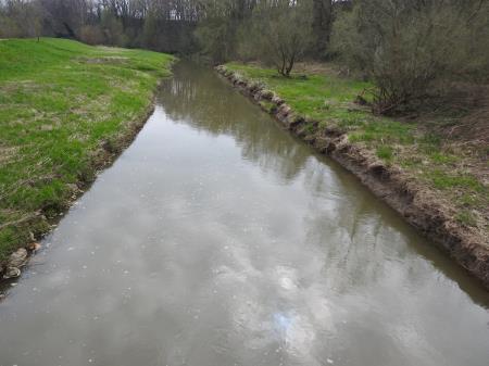 7. april, mednarodni dan bobra in Dan za spremembe 4